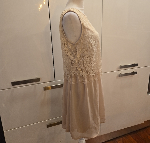 NWT Sabine Lace Overlay Fringe Sleeveless Dress Cream Size XS - Picture 2 of 10